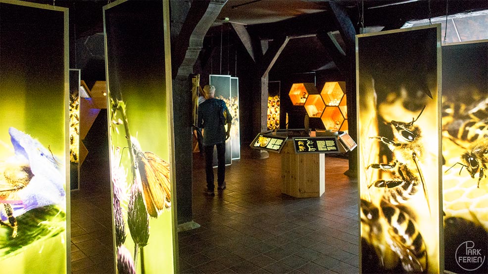 lüneburger heide, bienen museum