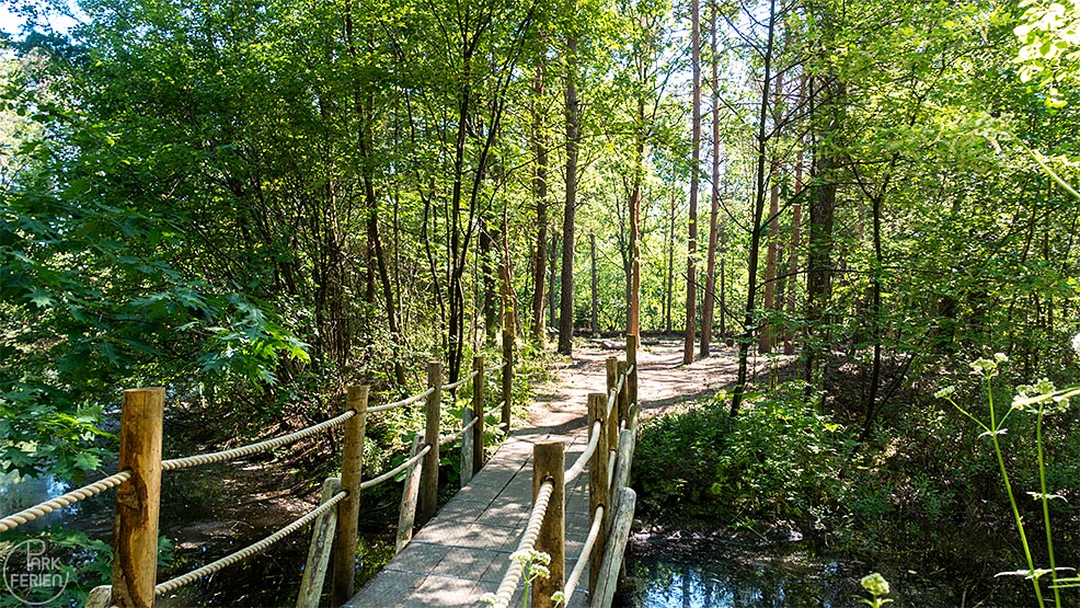 center parcs bispinger heide, nature trail