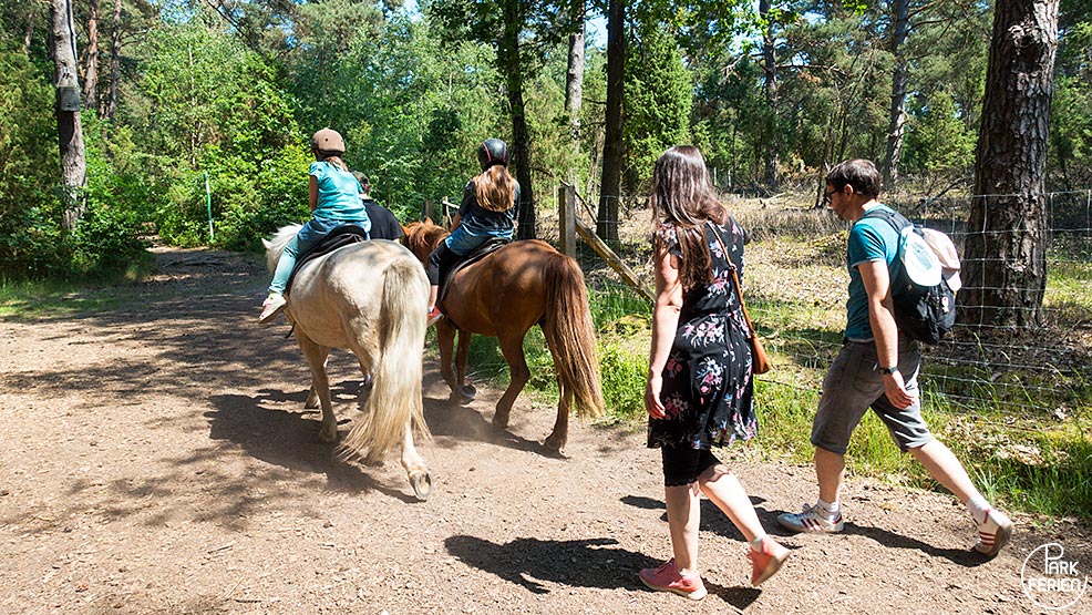 center parcs bispinger heide, ponyreiten