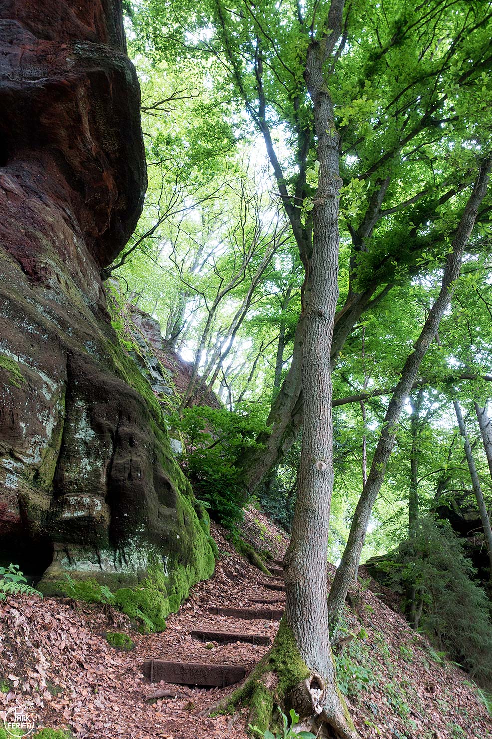 landal warsberg felsenweg wanderung