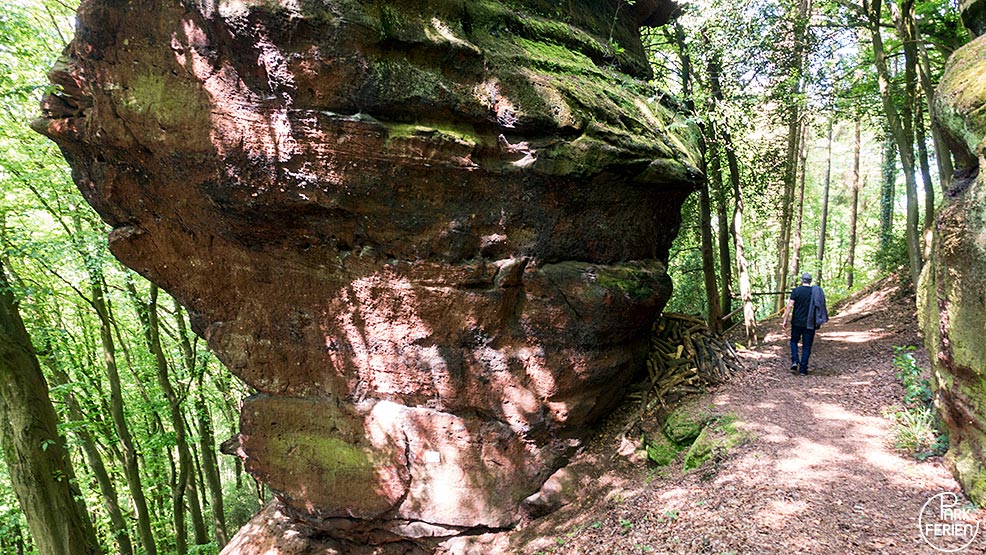 landal warsberg felsenweg