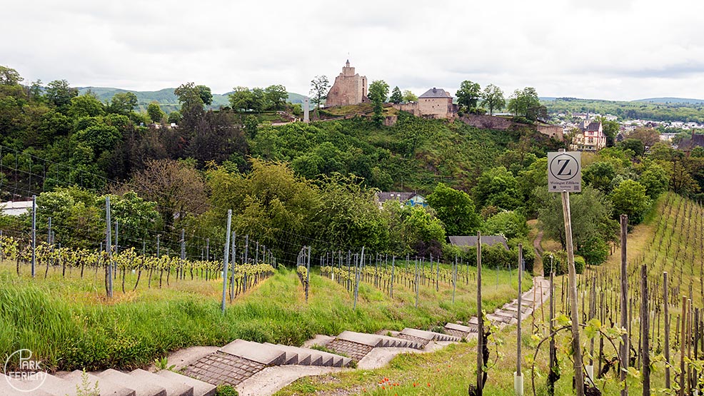 landal warsberg weinberge saarburg