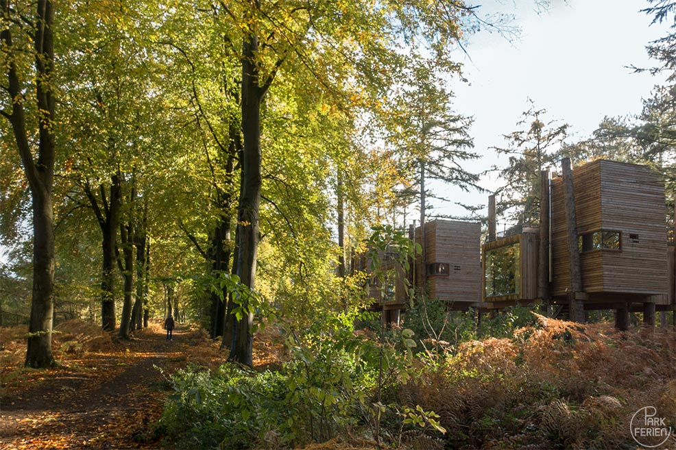 resort your nature, waldweg
