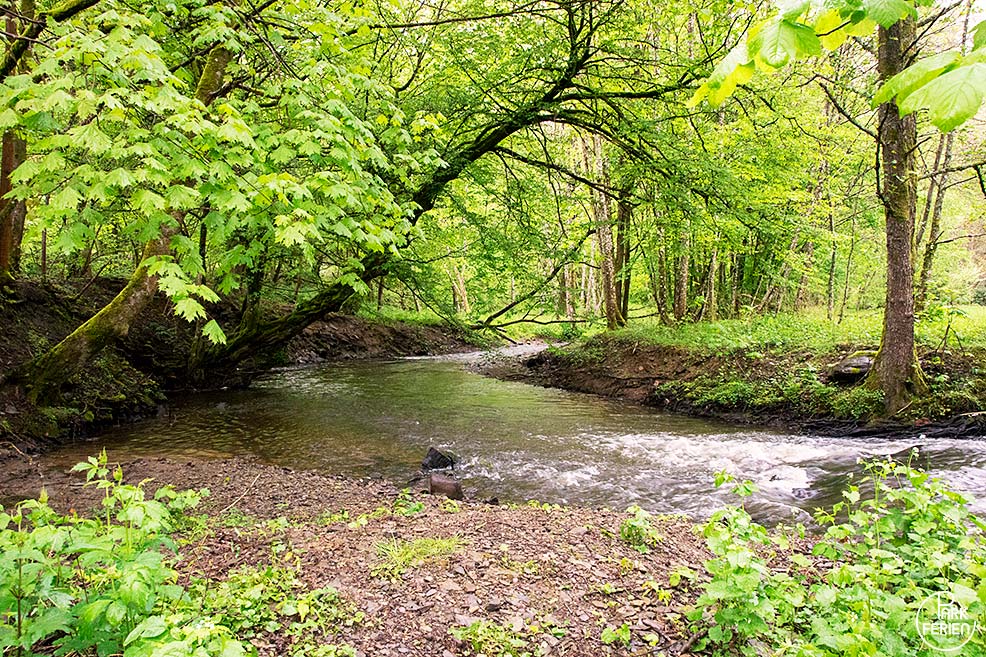 bach im nature parc saint hubert