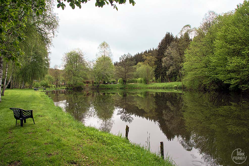 nature parc saint hubert, fischteich