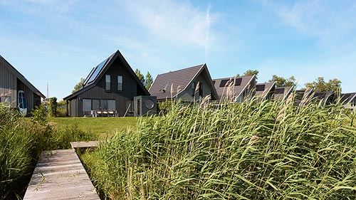 Dutchen Baayvilla's, Niederlande