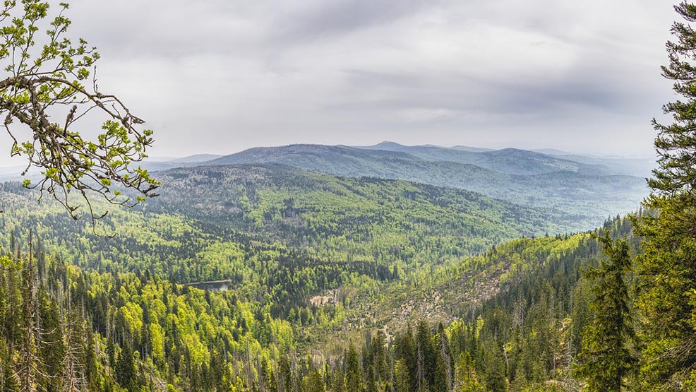 Aussicht vom Berg auf den Bayerischen Wald