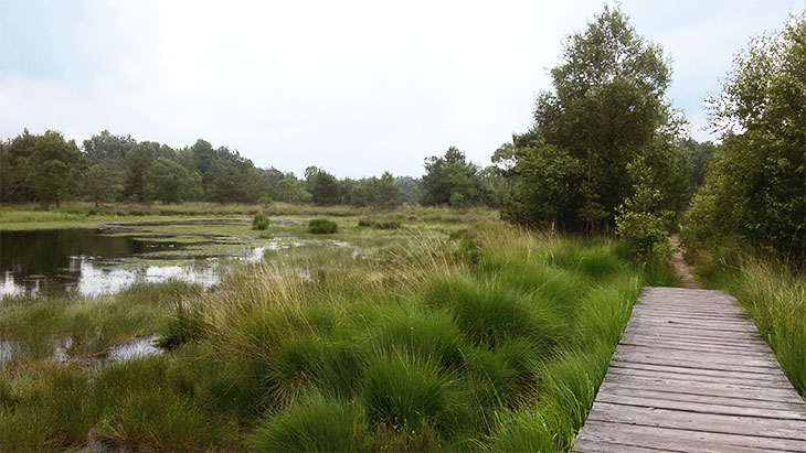 erfahrungen ferienpark, bad bentheim gildehauser venn